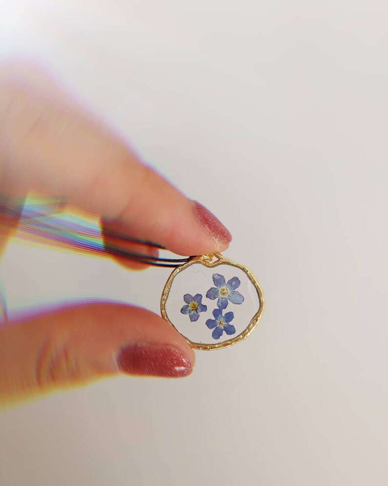choker. Real flower pressed Forget me Not necklace