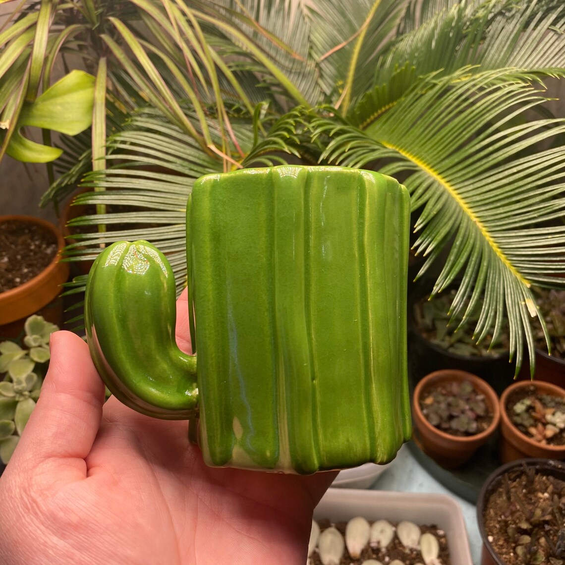 Hand Made Ceramic Cactus Pencil Holder Paintbrush Cup Etsy