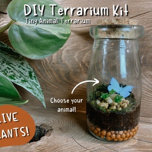 Terrarium Kit Activity DIY Mini Terrarium Gift For Plant Lover Tiny Animal Terrarium Live Plants Do It Yourself Terrarium Date Idea