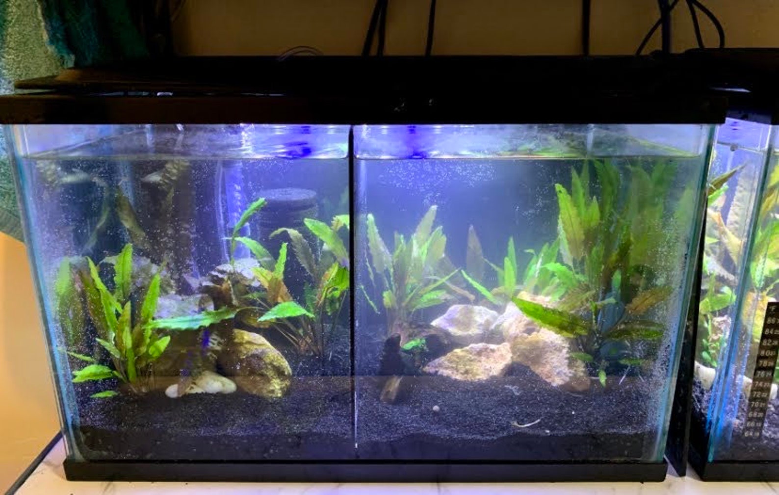 Acrylic Betta Fish Tank Dividers Aquarium Divider READ Etsy