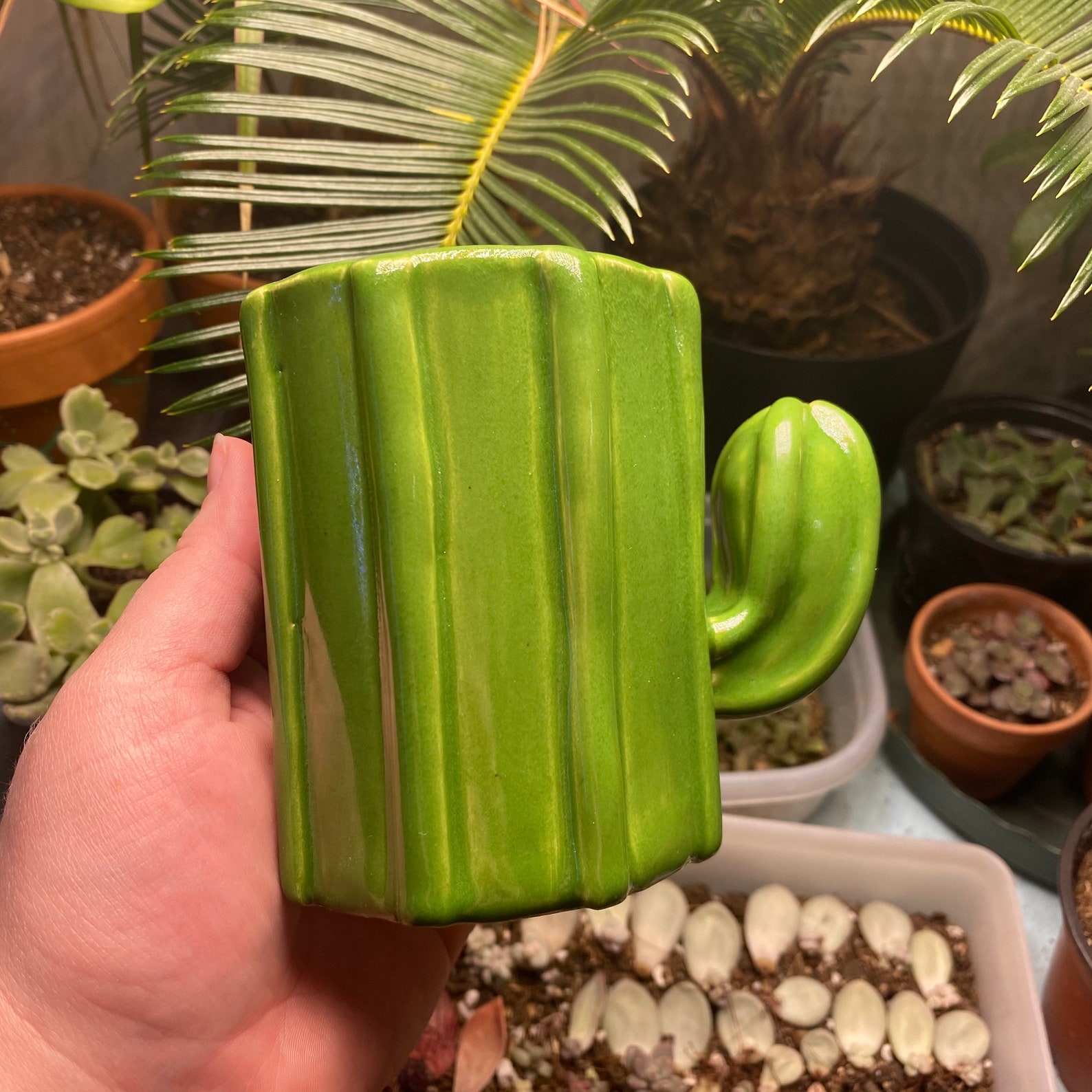Hand Made Ceramic Cactus Pencil Holder Paintbrush Cup Etsy