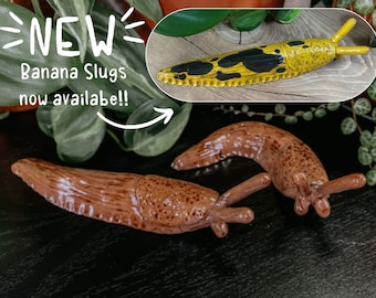 Slug Magnets And Figures Hand Made Clay Slugs Banana Slug Sculpture Critter Figurines Nature Lover Gift