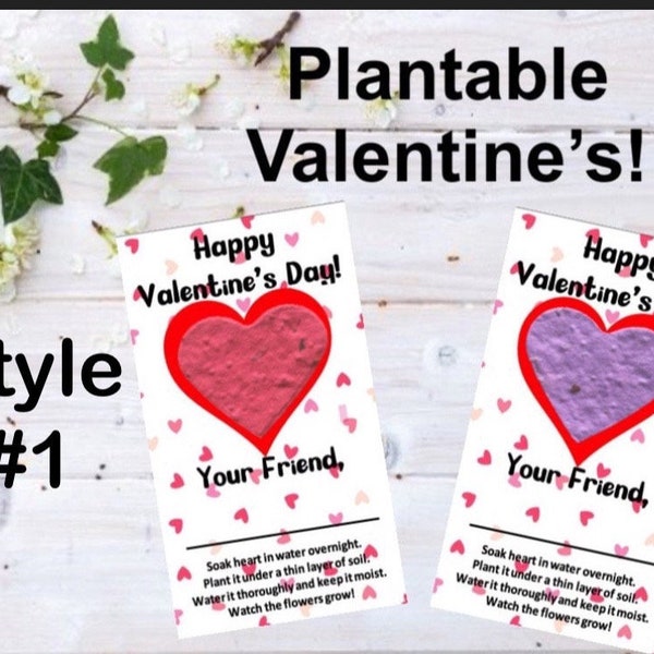 25 Classroom Valentine's Day Gift / Valentine's Card / Student Teacher Gift / Plantable Heart / Flowers