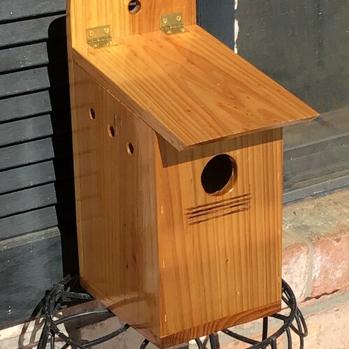 Eastern Bluebird Cedar Bird House - Etsy