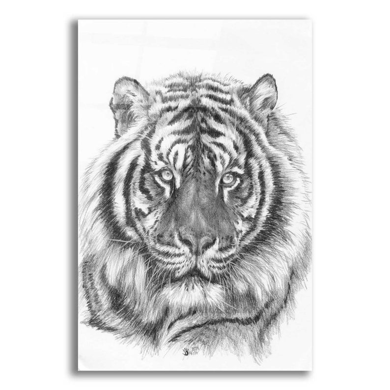 Acrylic Glass Wall Art 'sparkle' by Barbara Keith Etsy