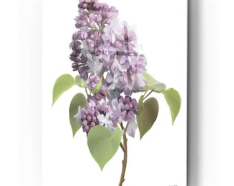 Acrylic Glass Wall Art 'Lilac Stem' by House Fenway