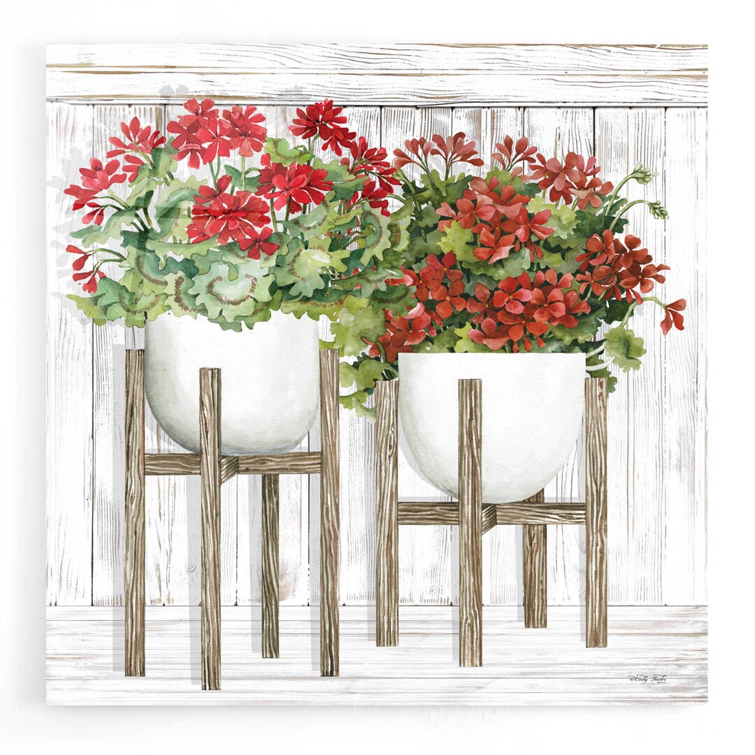 Acrylic Glass Wall Art 'red Geraniums' by Cindy Jacobs - Etsy