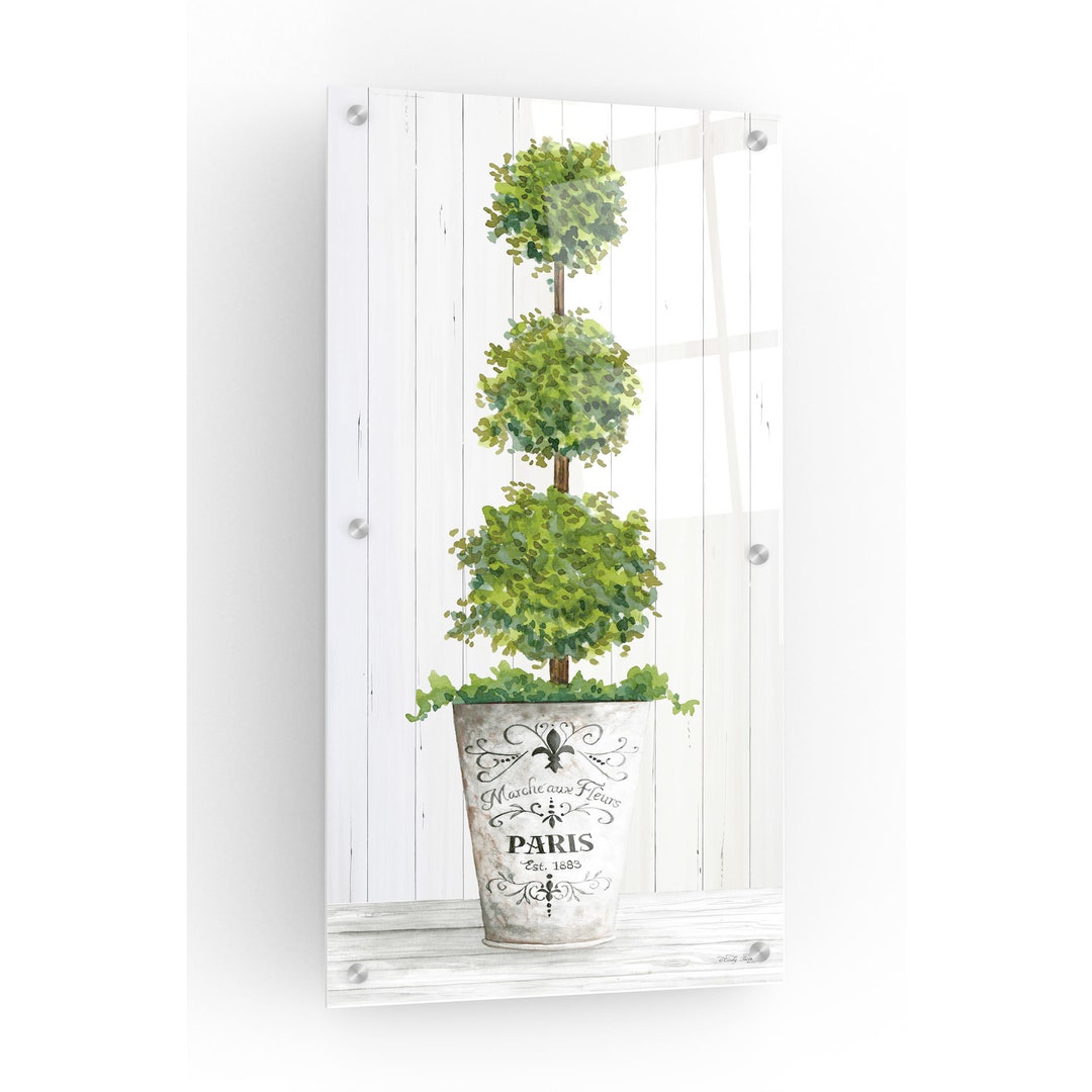 Acrylic Glass Wall Art 'topiary Paris' by Cindy Jacobs - Etsy