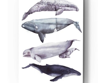 Acrylic Glass Wall Art 'Whale Stack I' by Grace Popp