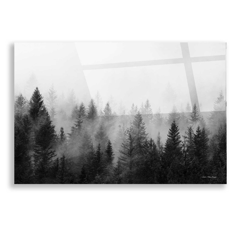 Acrylic Glass Wall Art 'forest' by Seven Trees Design Etsy