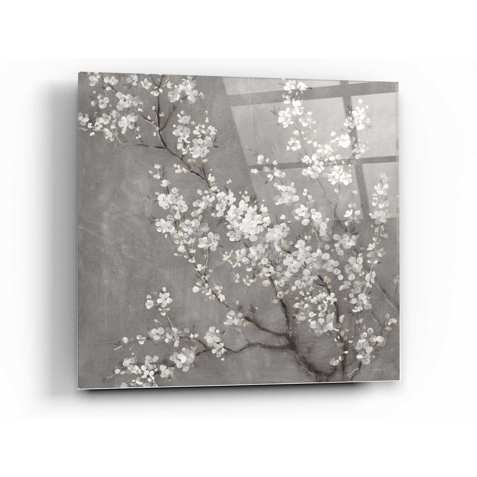 Acrylic Glass Wall Art 'white Cherry Blossom II on - Etsy