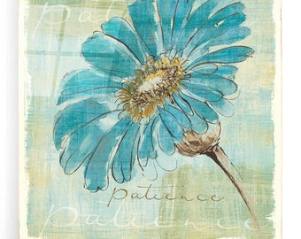 Acrylic Glass Wall Art 'Spa Daisies II' by Chris Paschke