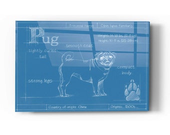 Acrylic Glass Wall Art 'Blueprint Pug' by Ethan Harper