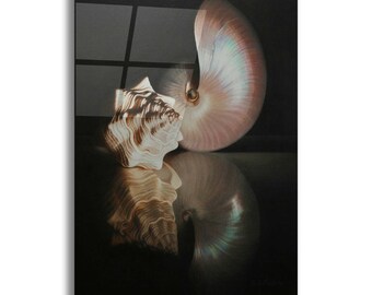 Acrylic Glass Wall Art 'Pearl Nautilus' by Cecile Baird