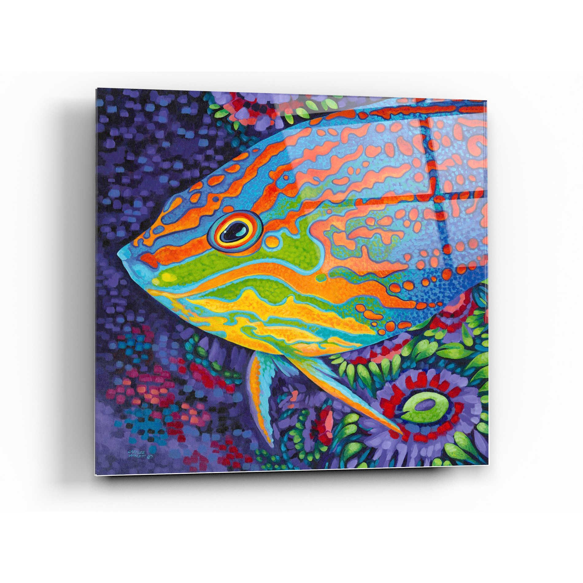 Acrylic Glass Wall Art 'brilliant Tropical Fish I' by Etsy