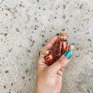 Dried Orange Lily, Dried Flowers, 20 ml glass jar