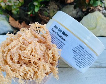 DETANGLE with Wild Craft Irish Sea Moss Hair Conditioner 100% NATURAL VEGAN for All Hair Types Helps smooth hair and make it more managable.