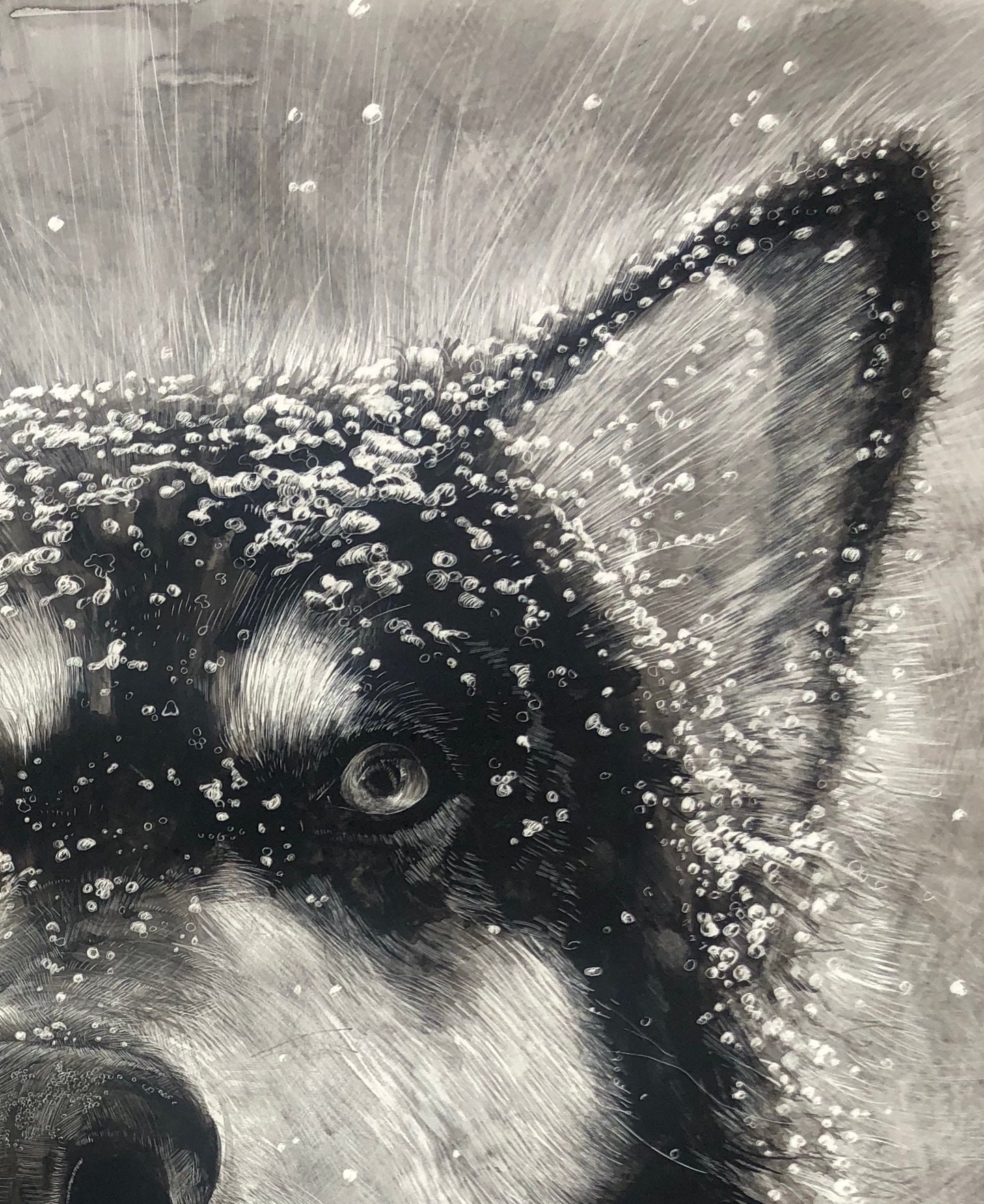 Custom Original Pen and Ink on Claybord, Hand Drawn Pet Portrait Etsy