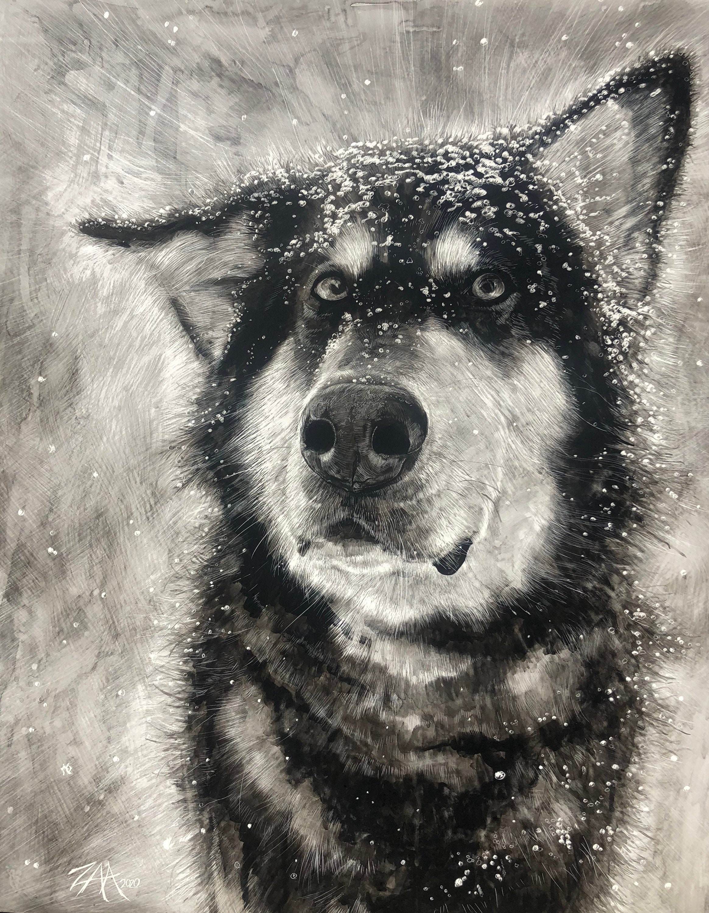 Custom Original Pen and Ink on Claybord, Hand Drawn Pet Portrait - Etsy