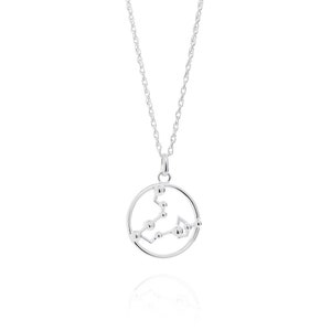 Pisces Astrology Necklace