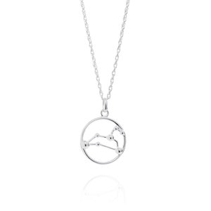 Leo astrologie ketting