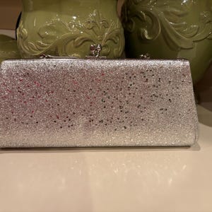 Silver Evening Bag- Clutch- Vintage - RARE