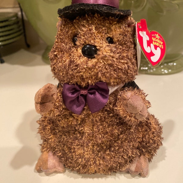 2006 Punxsutawney Phil Groundhog TY Beanie Baby