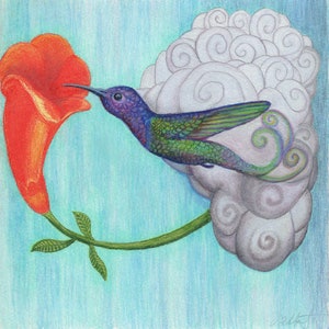 Hummingbird, limited edition artist greeting cards package of 6