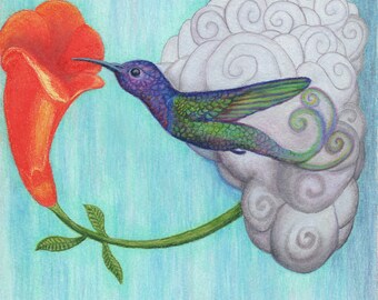 Hummingbird, limited edition artist greeting cards package of 6