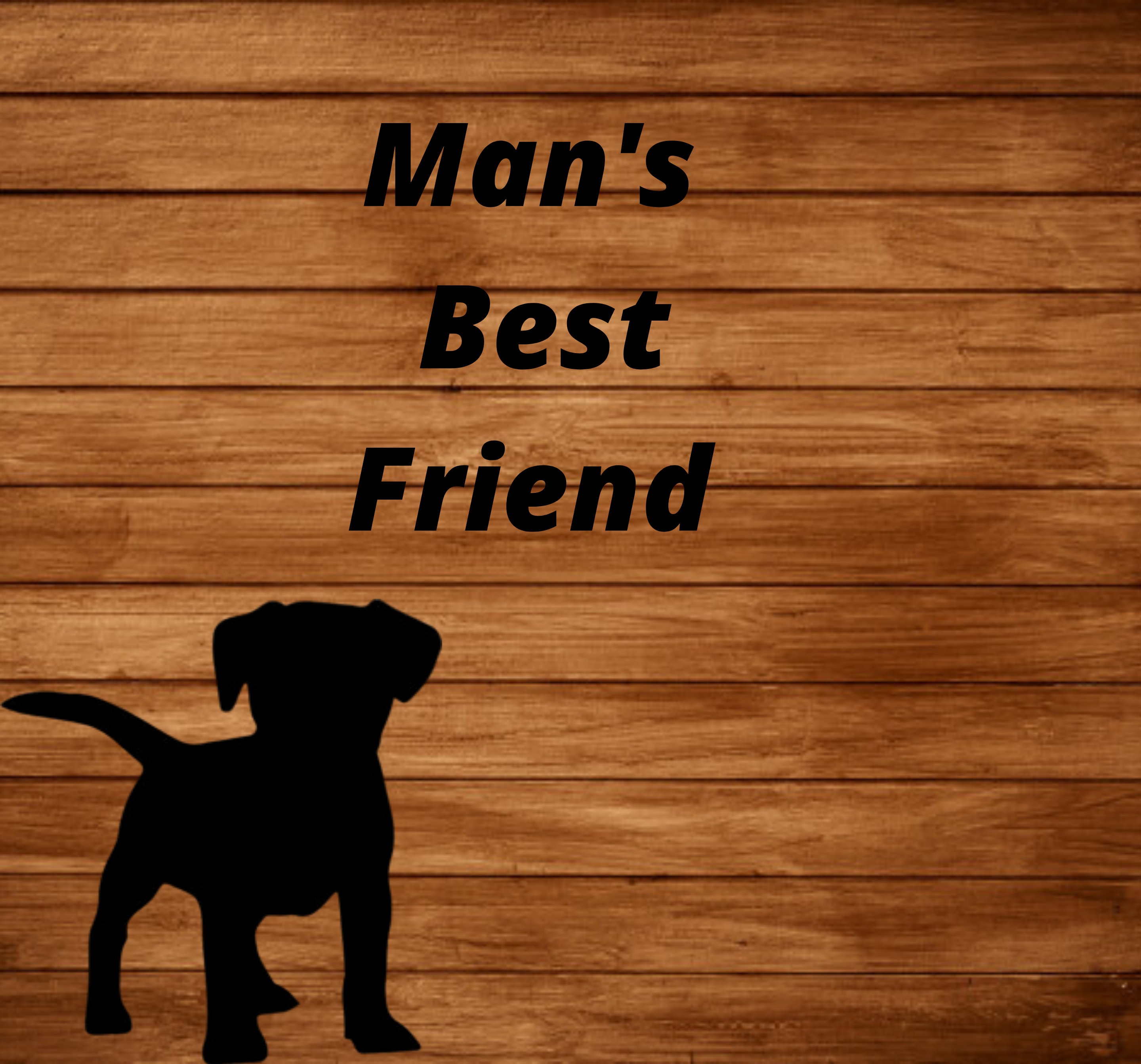 Man'S Best Friend: The Funny Gift Guide (Amazon Uk) - 37etpcn