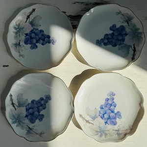4 Rosenthal 1891-1906 Baviera Platos de porcelana antiguos Platos de desierto Patrón de frutas Pintado a mano Vintage Alemania Uva