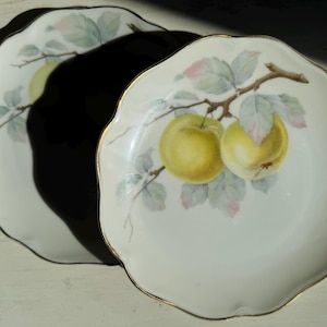 2 Rosenthal 1891-1906 Baviera Platos de porcelana antiguos Platos de postre Patrón de frutas Pintado a mano Vintage Alemania Manzana