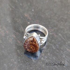 Peut inclure: Une bague en argent avec une pierre pr&eacute;cieuse ammonite brune sertie en forme de larme. La bague a une bande torsad&eacute;e avec de petites perles d'argent.