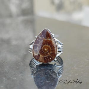 Peut inclure: Une bague en argent avec une pierre pr&eacute;cieuse ammonite en forme de larme. L'ammonite est brune et pr&eacute;sente un motif en spirale. La bague est sertie de petites perles d'argent.