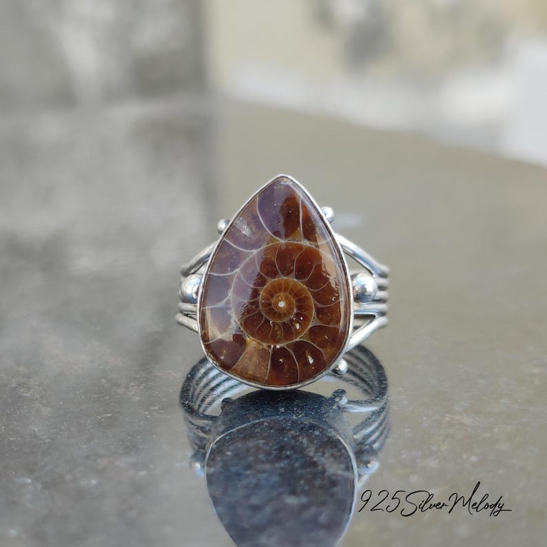 Peut inclure: Une bague en argent avec une pierre pr&eacute;cieuse ammonite en forme de larme. L'ammonite est brune et pr&eacute;sente un motif en spirale. La bague est sertie de petites perles d'argent.