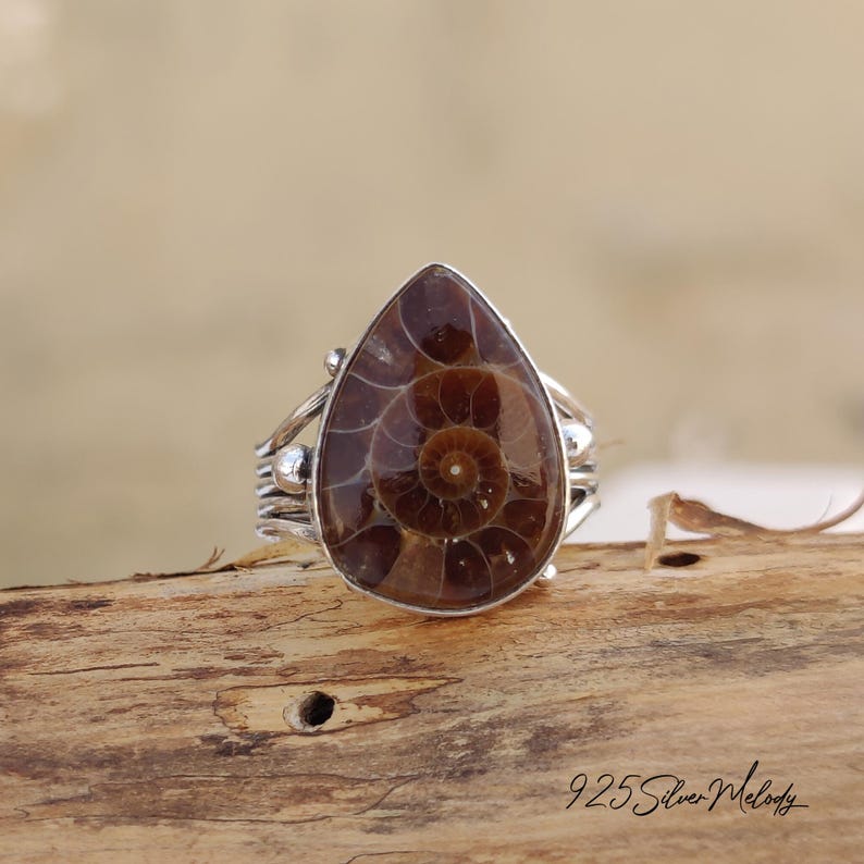 Peut inclure: Une bague en argent avec une pierre pr&eacute;cieuse ammonite en forme de larme. L'ammonite est brune et pr&eacute;sente un motif en spirale. La bague est pos&eacute;e sur une surface en bois.