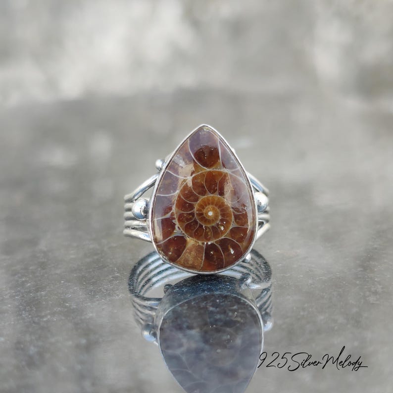 Peut inclure: Une bague en argent avec une pierre pr&eacute;cieuse ammonite en forme de larme. L'ammonite est de couleur brune et pr&eacute;sente un motif en spirale. La bague est sertie de petites perles d'argent.