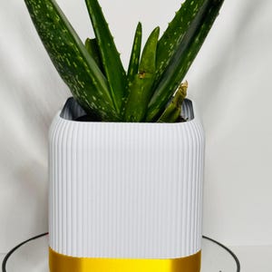 自動給水植木鉢 多肉植物 屋外 屋内 野菜 花 庭 暑い 寒い 天候 園芸 再利用 植木鉢 バスケット 鉢