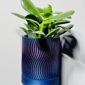 壁掛け式 自動給水植木鉢 多肉植物 屋外 屋内 野菜 花 庭 暑さ 寒さ 園芸 再利用 植木鉢