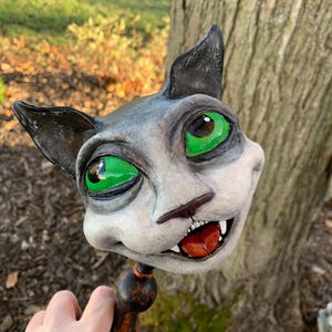 Salem the Halloween cat