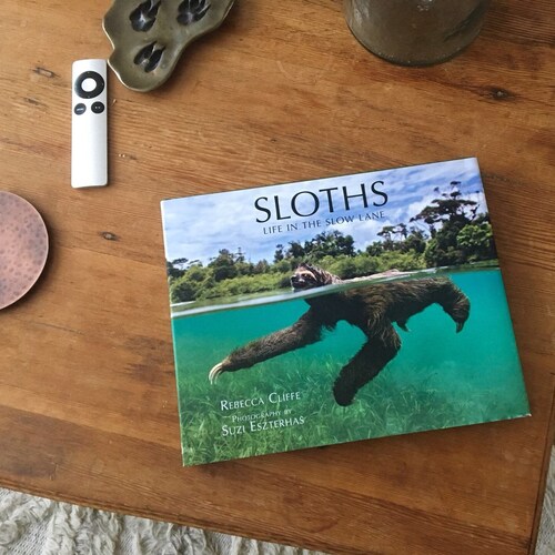 Sloth book: Life in the Slow Lane!