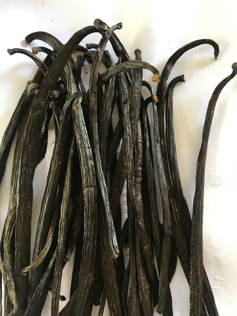 10 Madagascar Vanilla Beans Whole Grade B Vanilla Pods 5 7 Etsy