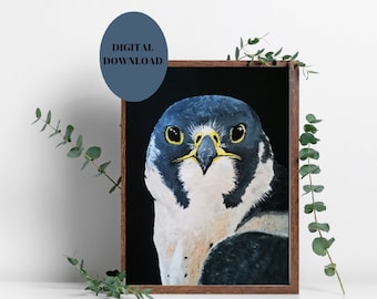 Bird print, Digital Download, Peregrine falcon, bird art, Birds of prey, Bird lovers gift, father's Day gift