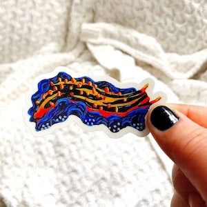 Nudibranch no. 1