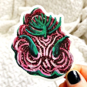 Nudibranch no. 2