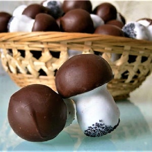 MUSHROOMS gingerbread  sweet Cookies, 3d mushroom Chocolate Cookies , Mushroom cookies, Dessert, Cake, Gift Cake, personalized