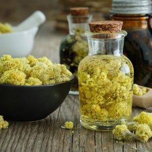 Immortelle Flower Tea: Dried Helichrysum arenarium Herbal Tea image 2
