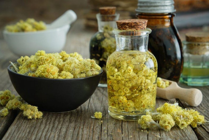 Immortelle Flower Tea: Dried Helichrysum arenarium Herbal Tea image 2