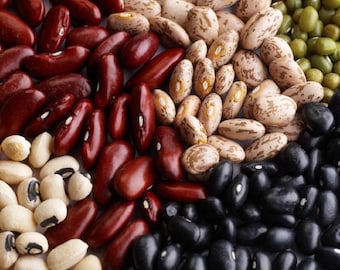 May include: A close-up image of a variety of dried beans, including black beans, kidney beans, pinto beans, and white beans.