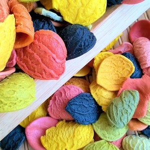 verse ORECCHIETTE PASTA | Gedroogde Orecchiette Gemengde Pasta | gedroogde gekleurde PASTA